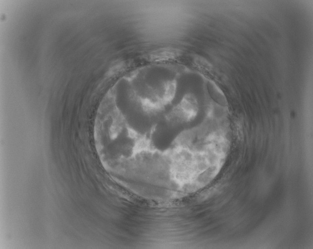 X0000068771393200605262154