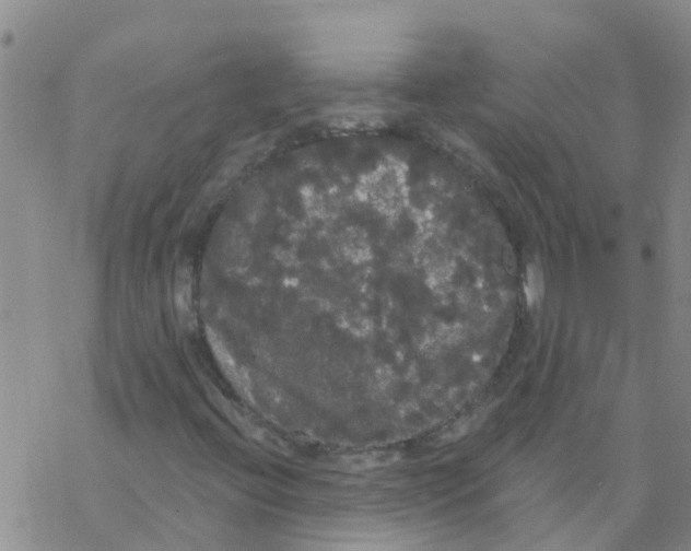 X0000068771396200605262154