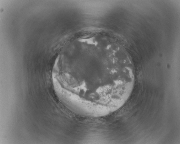 X0000068771397200605262154