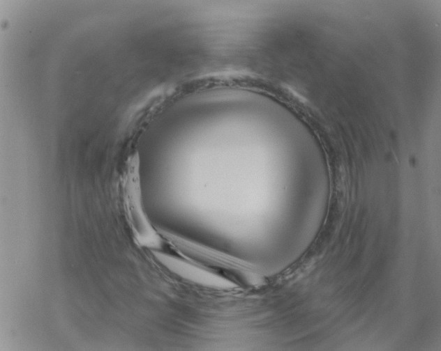 X0000068771398200605262154