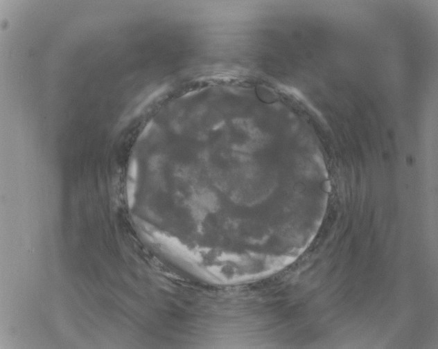 X0000068771399200605262154