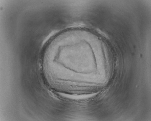 X0000068771400200605262154