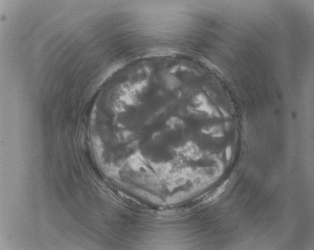 X0000068771401200605262154