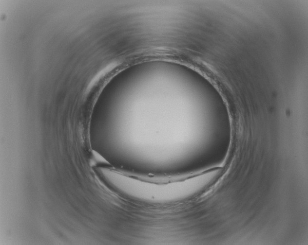 X0000068771402200605262154