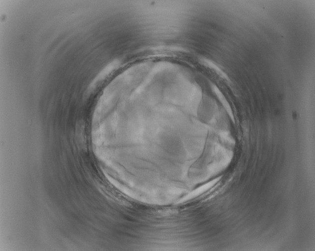 X0000068771403200605262154