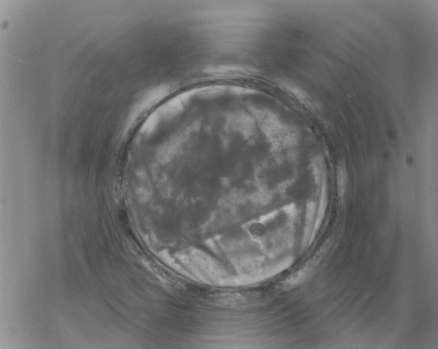 X0000068771405200605262154