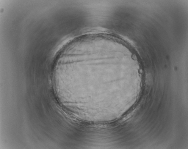 X0000068771407200605262154