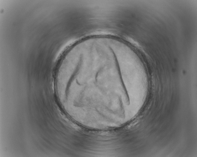 X0000068771408200605262155