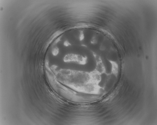 X0000068771409200605262155