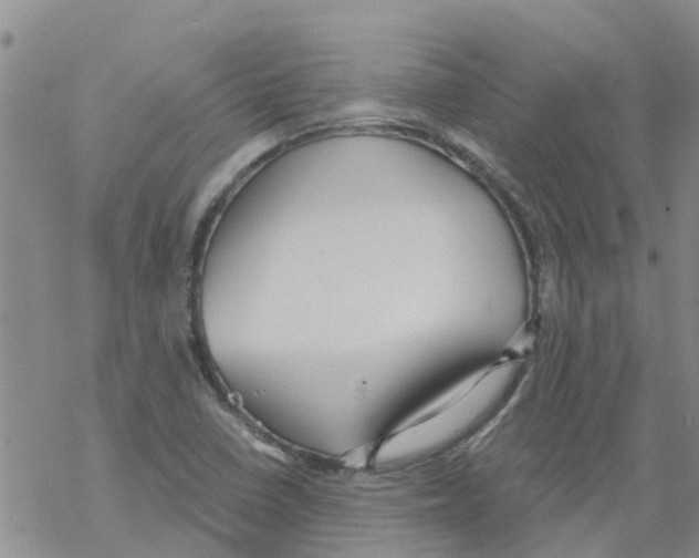 X0000068771410200605262155