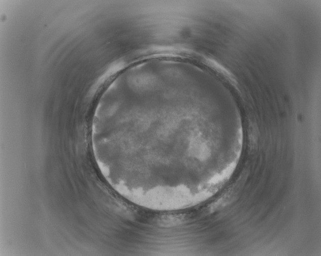 X0000068771411200605262155