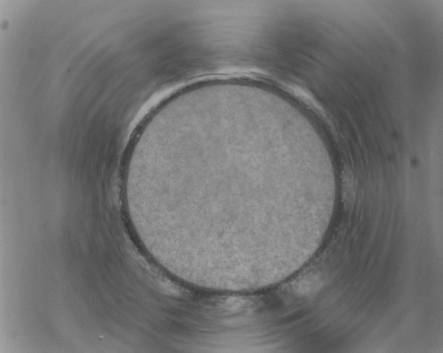 X0000068771412200605262155