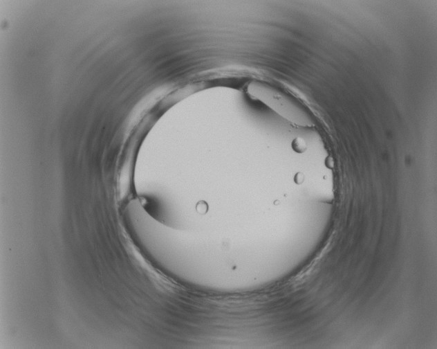 X0000068771418200605262155