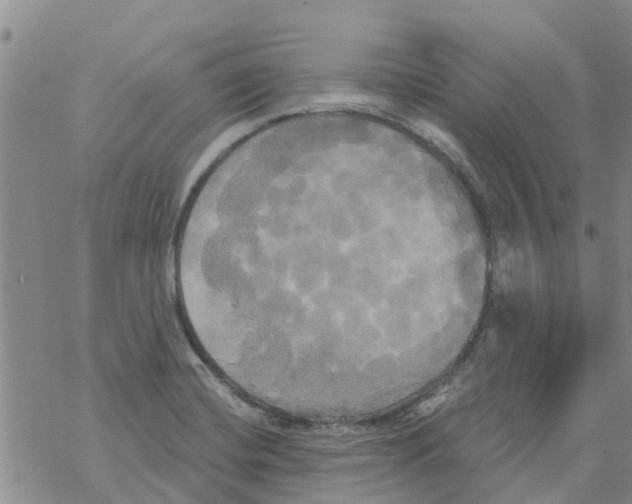 X0000068771420200605262155