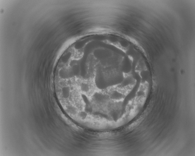 X0000068771421200605262155