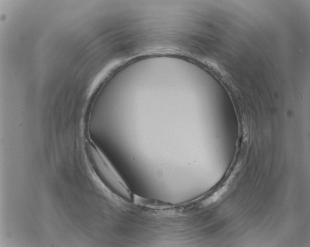 X0000068771422200605262155