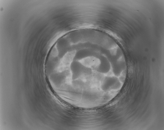 X0000068771423200605262155