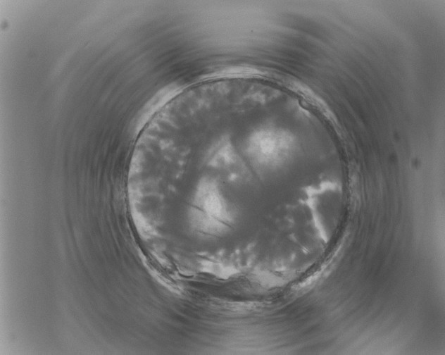 X0000068771425200605262155