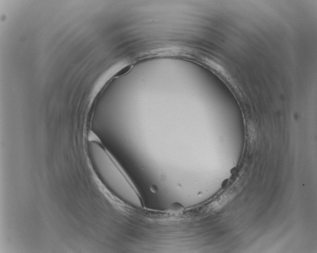 X0000068771426200605262155