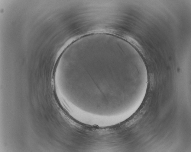 X0000068771428200605262155