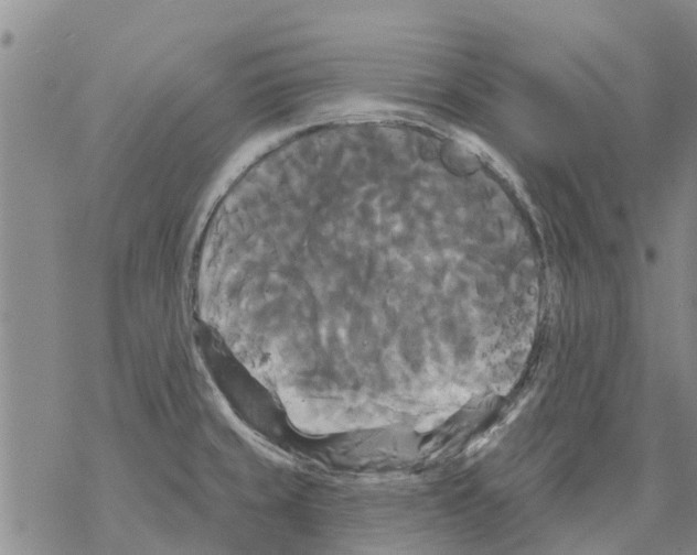 X0000068771429200605262155