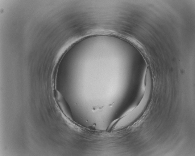 X0000068771430200605262155