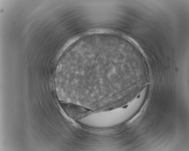 X0000068771433200605262155