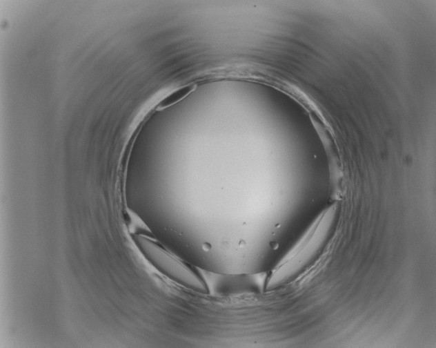 X0000068771434200605262155