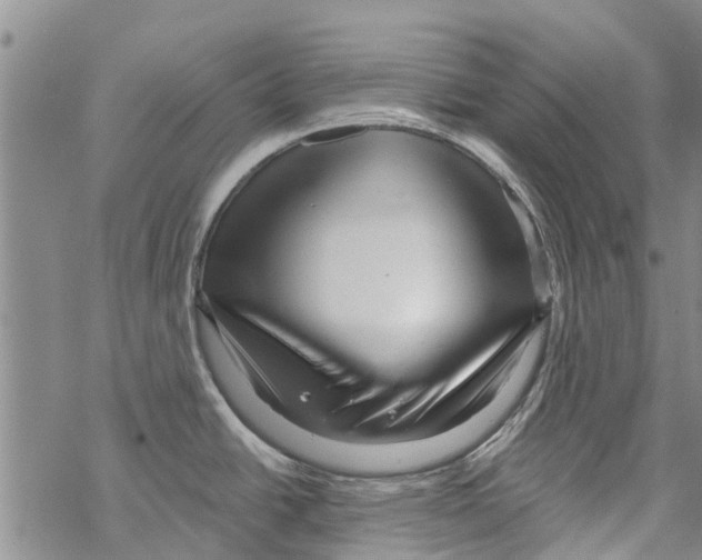 X0000068771438200605262155