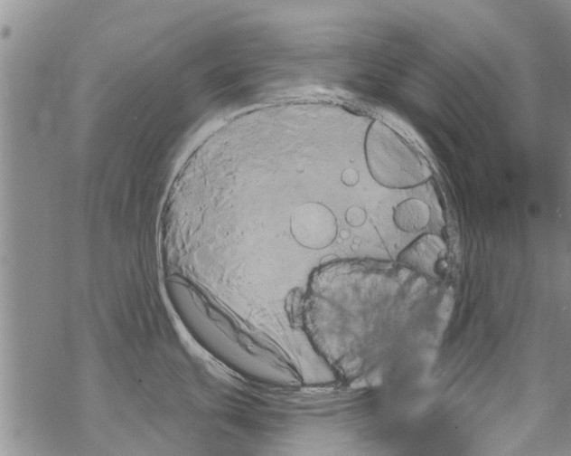 X0000068771439200605262155