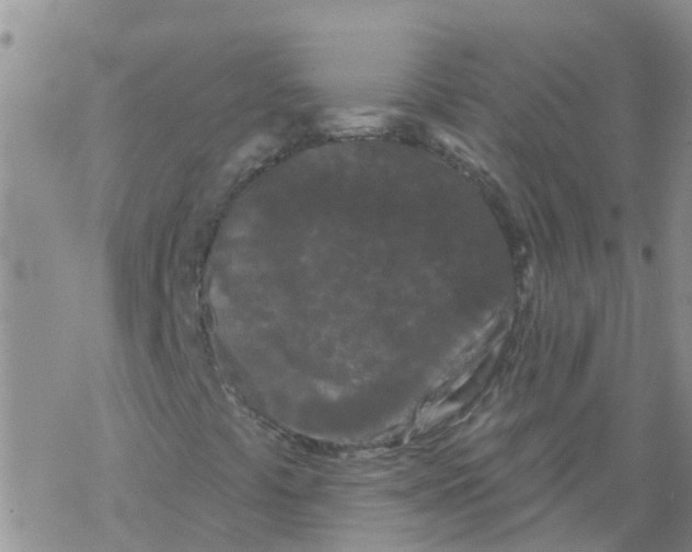 X0000068771441200605262154