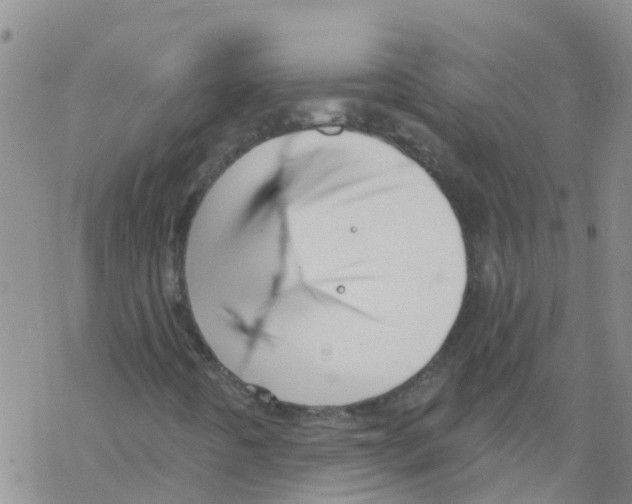 X0000068771442200605262154