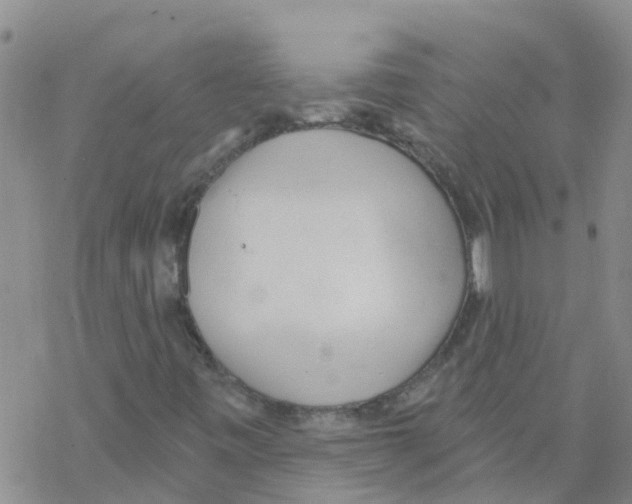 X0000068771443200605262154