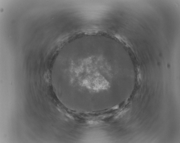 X0000068771445200605262154