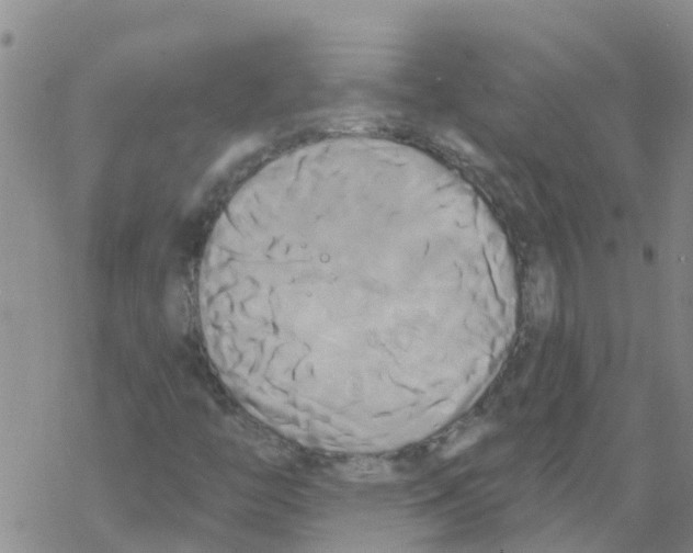 X0000068771446200605262154