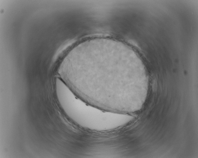 X0000068771448200605262154