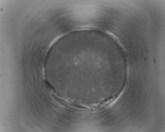 X0000068771449200605262154