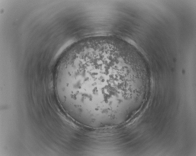 X0000068771450200605262154