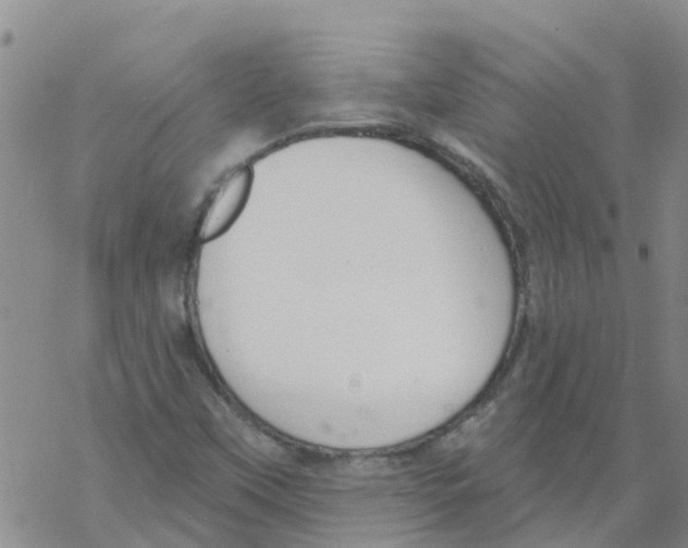 X0000068771451200605262154