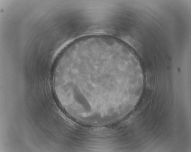 X0000068771452200605262154