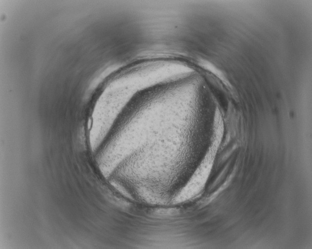 X0000068771453200605262154