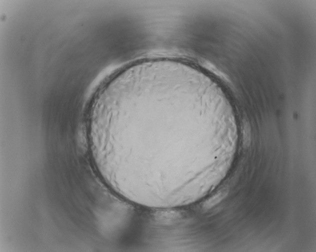 X0000068771454200605262154