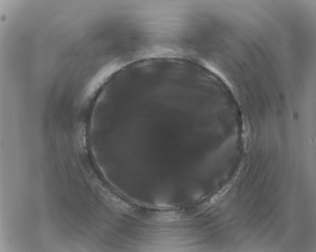 X0000068771455200605262154