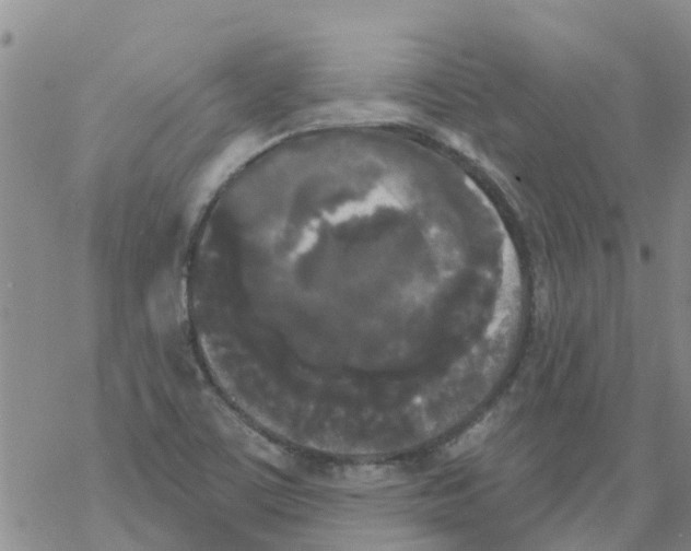 X0000068771459200605262154