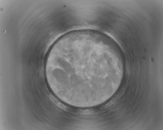 X0000068771460200605262154