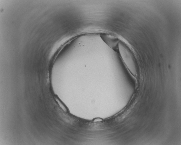 X0000068771461200605262154