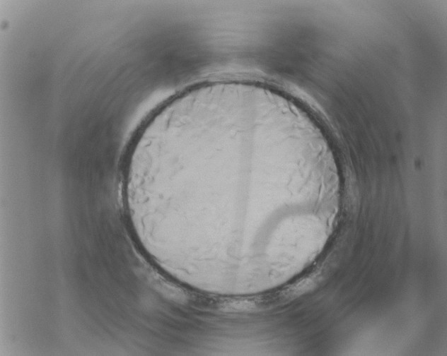 X0000068771462200605262154