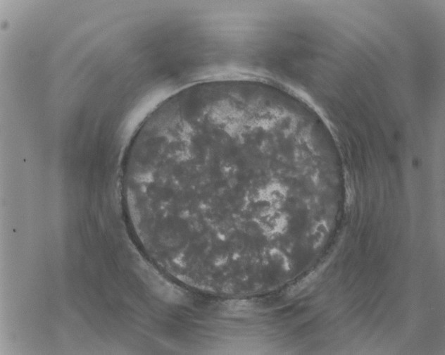 X0000068771463200605262154