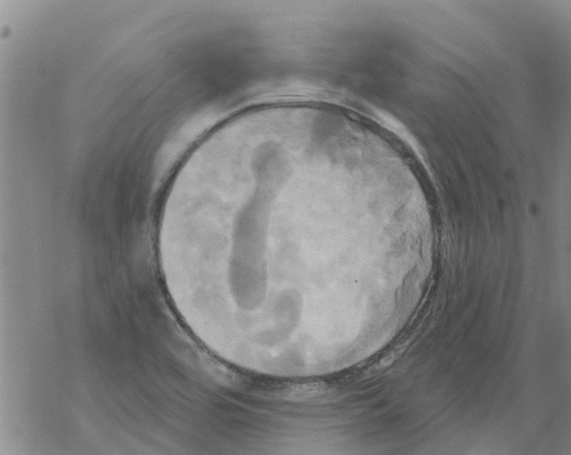 X0000068771464200605262154