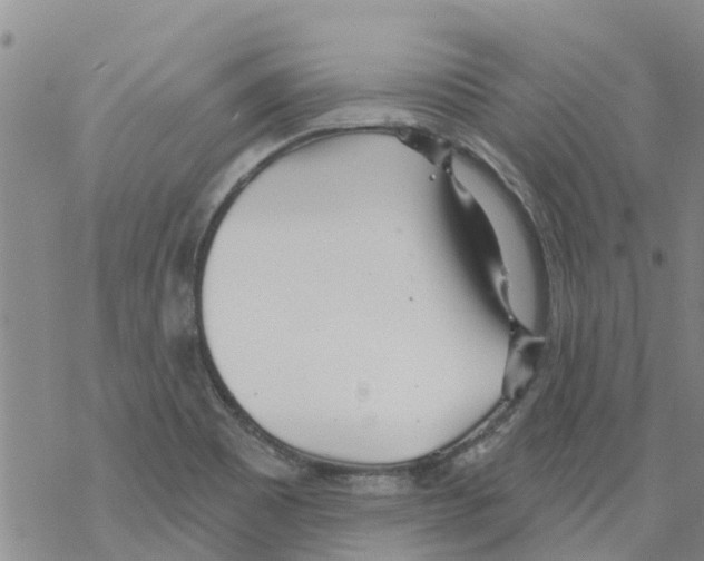 X0000068771465200605262154